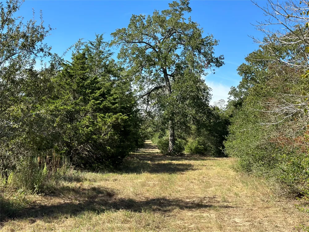 105 Colony Line Trail Dale, TX 78616