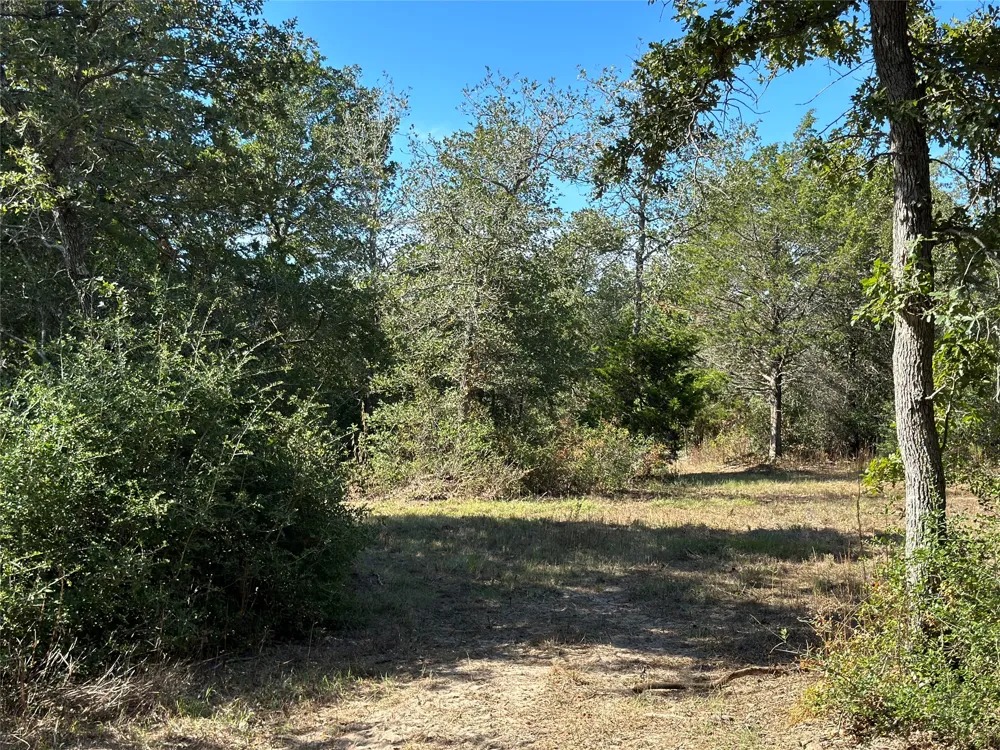 105 Colony Line Trail Dale, TX 78616