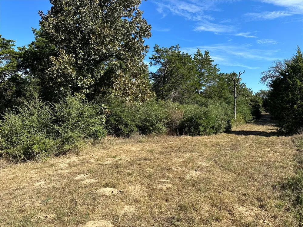 105 Colony Line Trail Dale, TX 78616