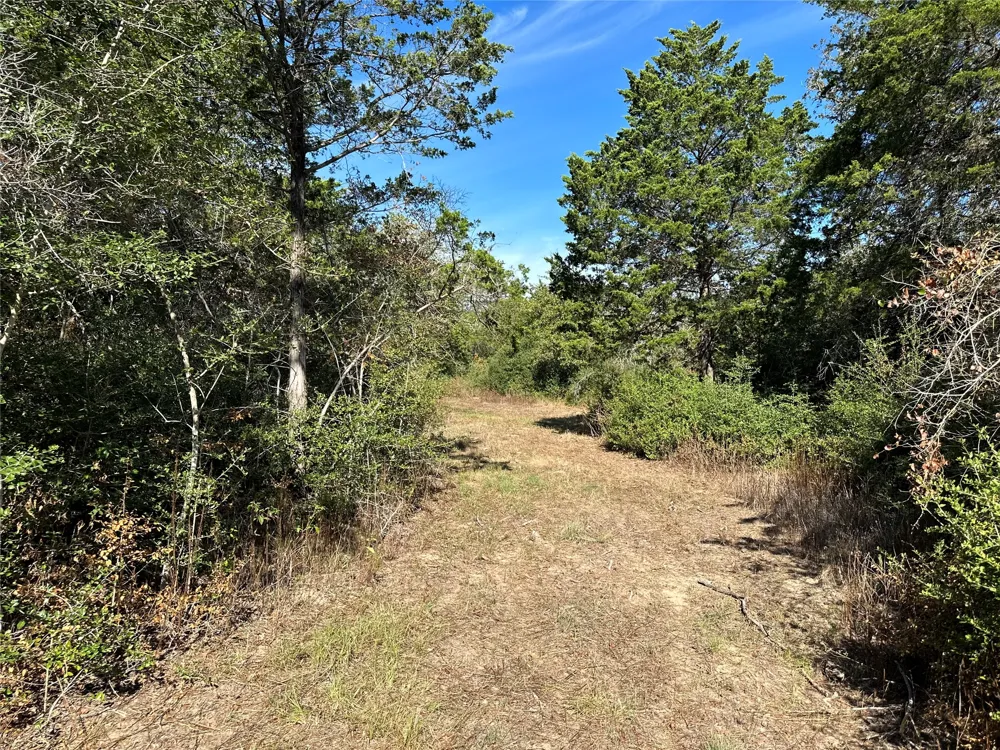 105 Colony Line Trail Dale, TX 78616