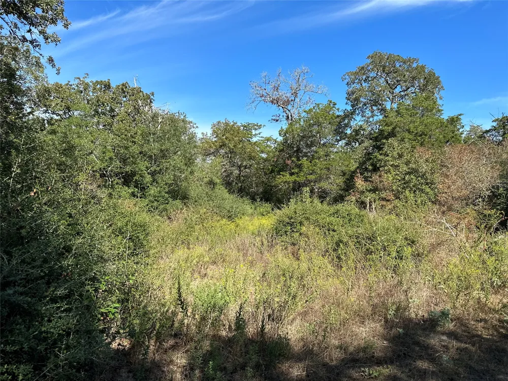 105 Colony Line Trail Dale, TX 78616