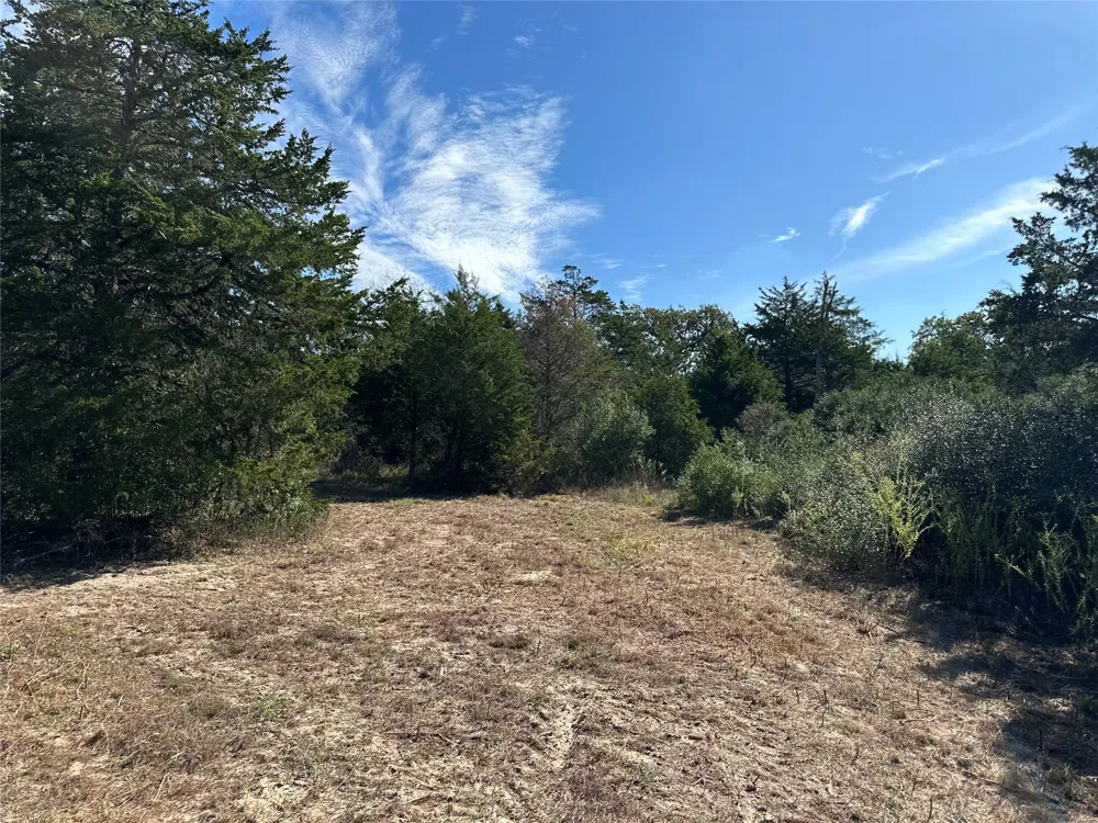 105 Colony Line Trail Dale, TX 78616