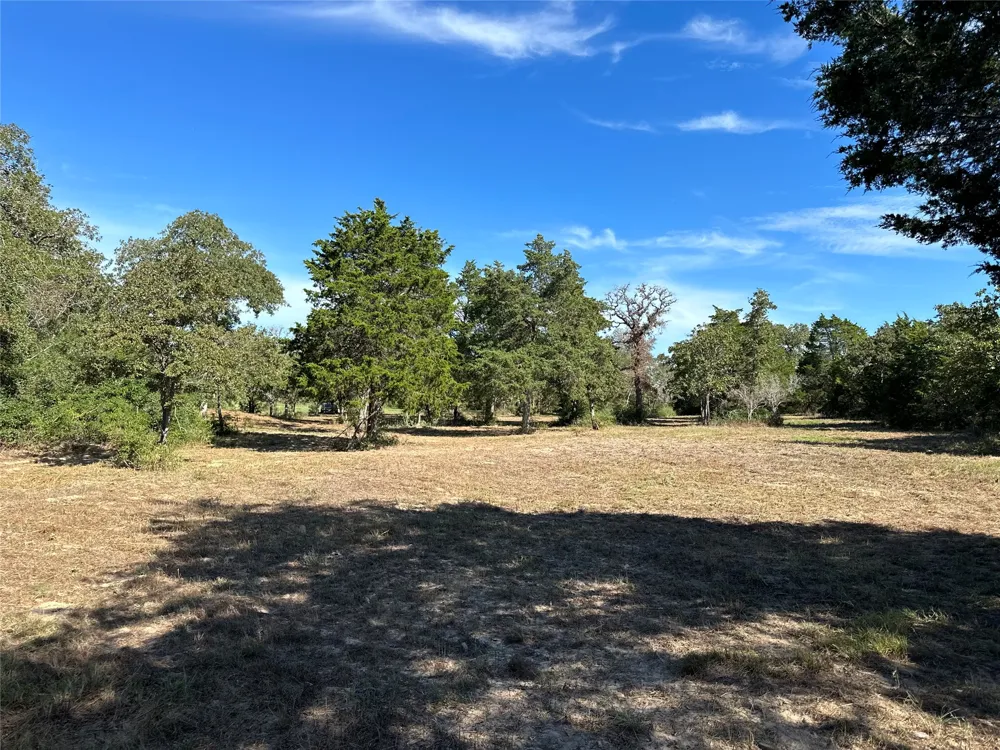 105 Colony Line Trail Dale, TX 78616