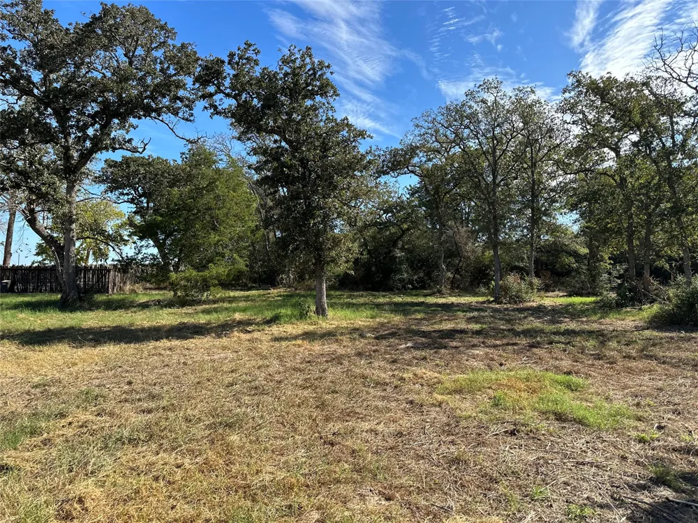 105 Colony Line Trail Dale, TX 78616