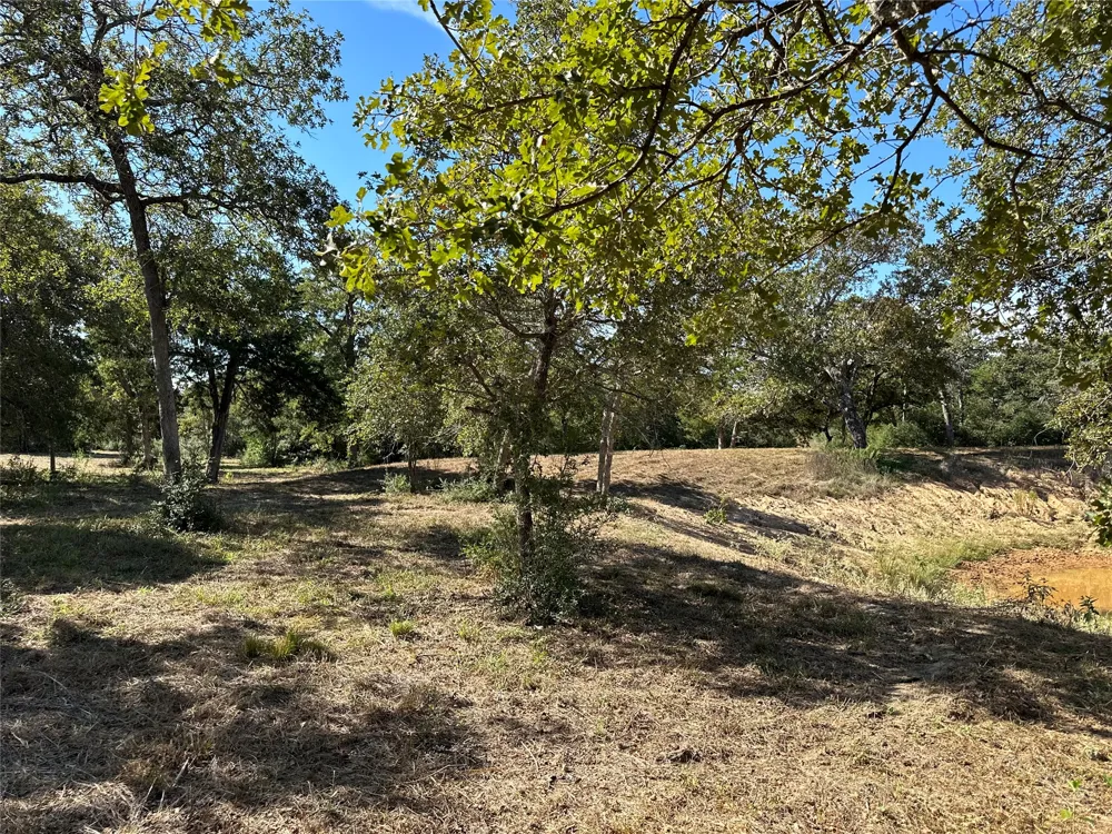 105 Colony Line Trail Dale, TX 78616