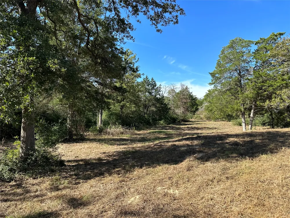 105 Colony Line Trail Dale, TX 78616