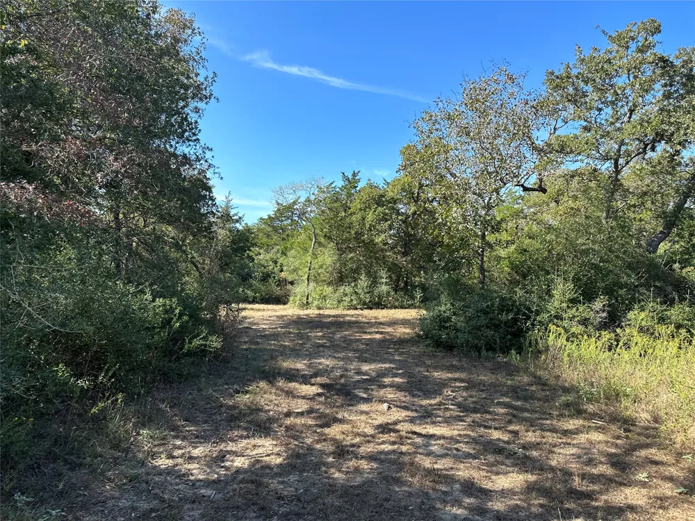 105 Colony Line Trail Dale, TX 78616