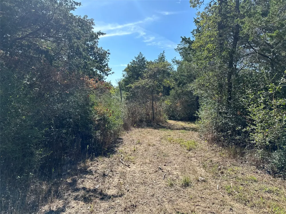 105 Colony Line Trail Dale, TX 78616