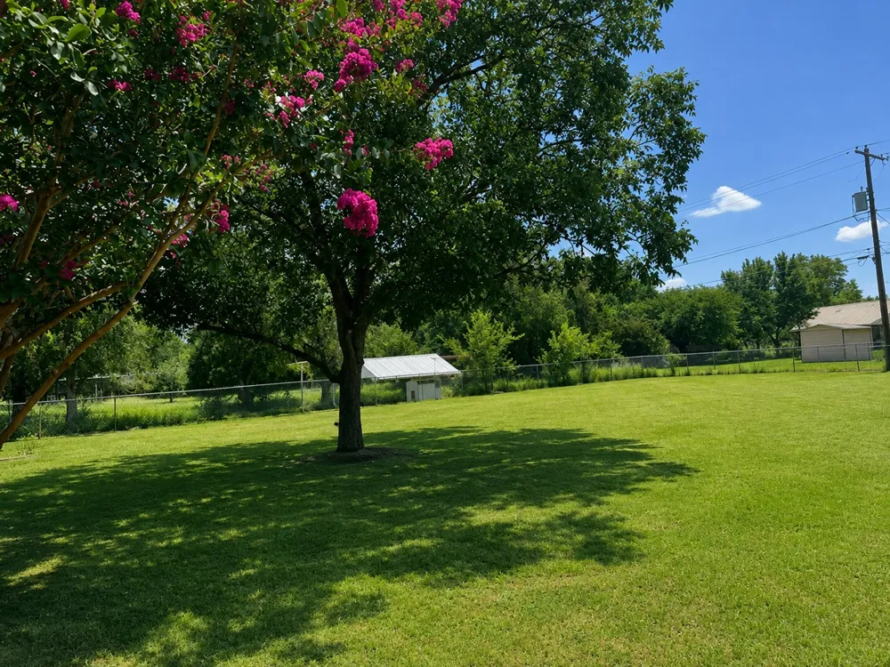 156 George Scott Street Cross Plains, TX 76443