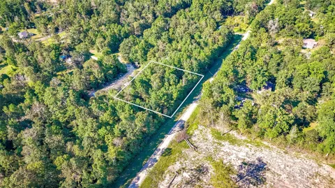 25 Timber Grove