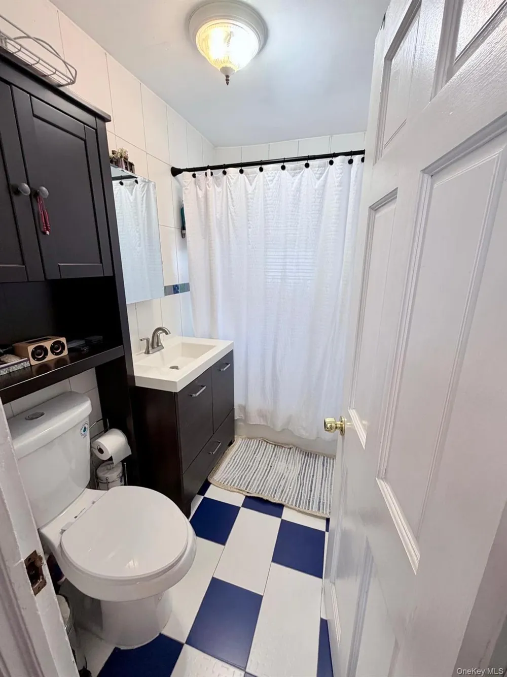 107-11 114th Street Richmond Hill S., NY 11419