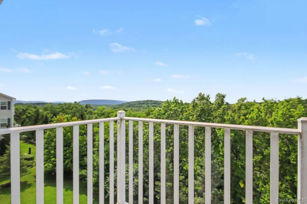 1113 Balsam Drive New Windsor, NY 12553