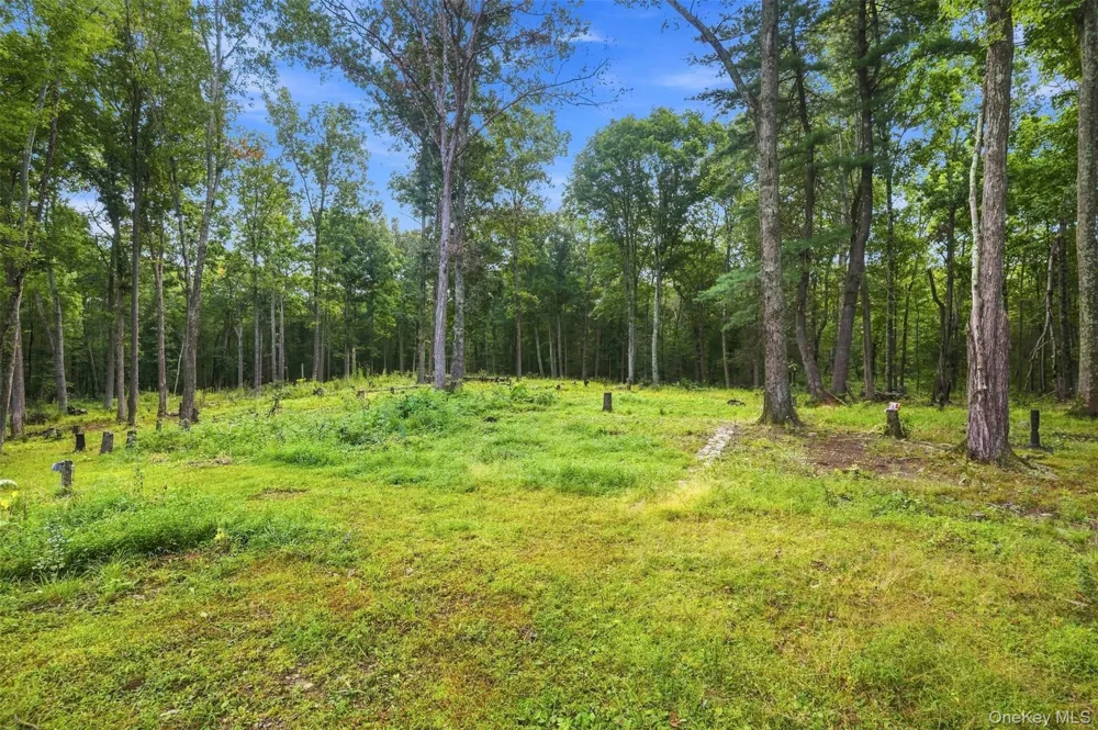 39 Jacob Rumph Court Montgomery, NY 12549