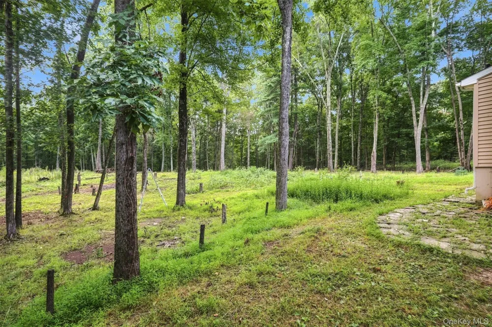 39 Jacob Rumph Court Montgomery, NY 12549