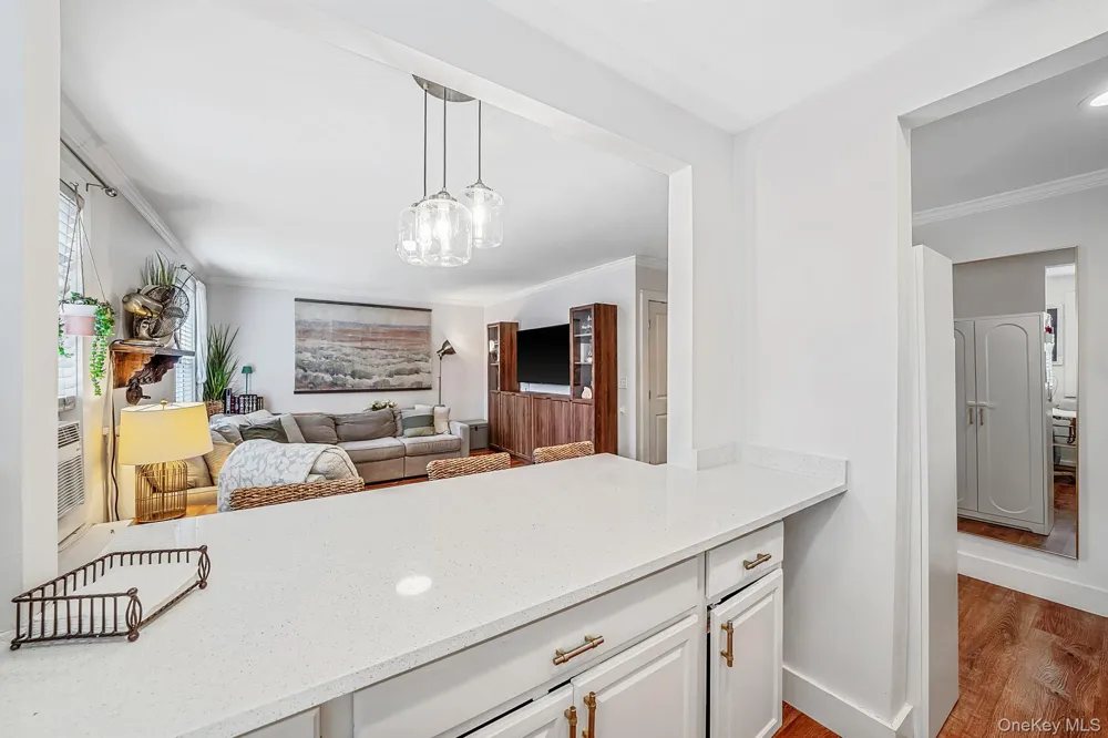4 Edwards St #1E Roslyn Heights, NY 11577