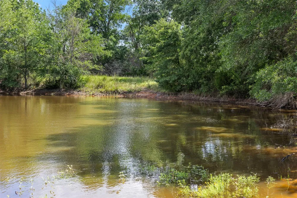 20908 N State Highway 6 Bremond, TX 76629
