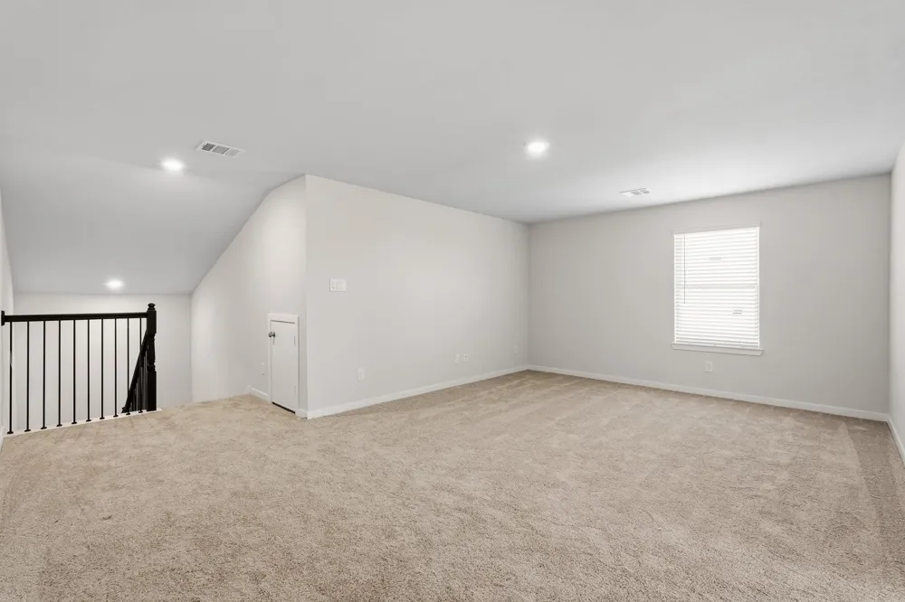 29018 Fig Vine Drive Waller, TX 77484