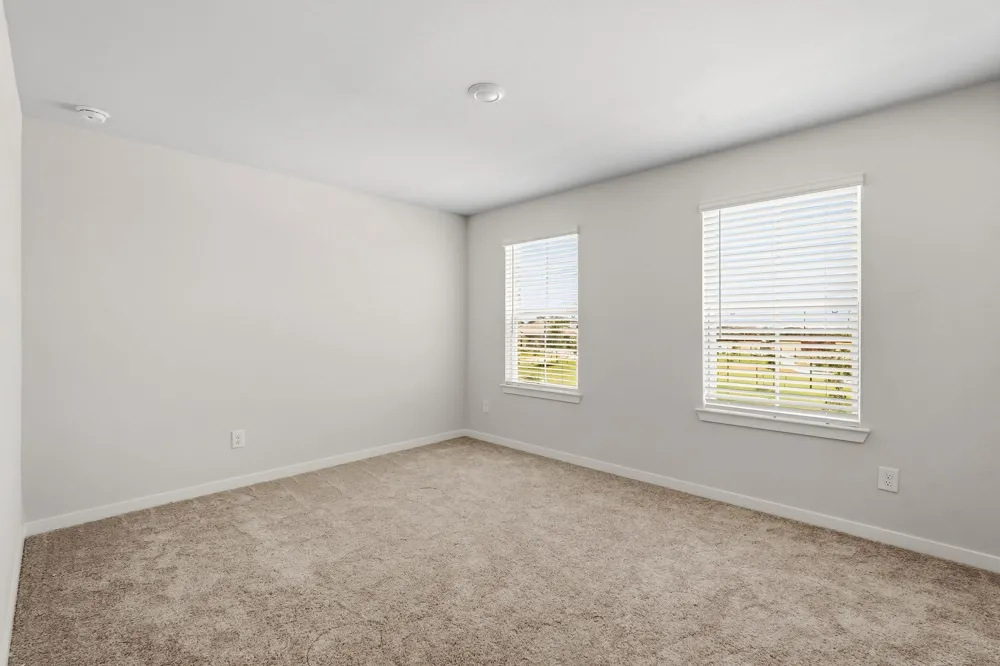 29018 Fig Vine Drive Waller, TX 77484