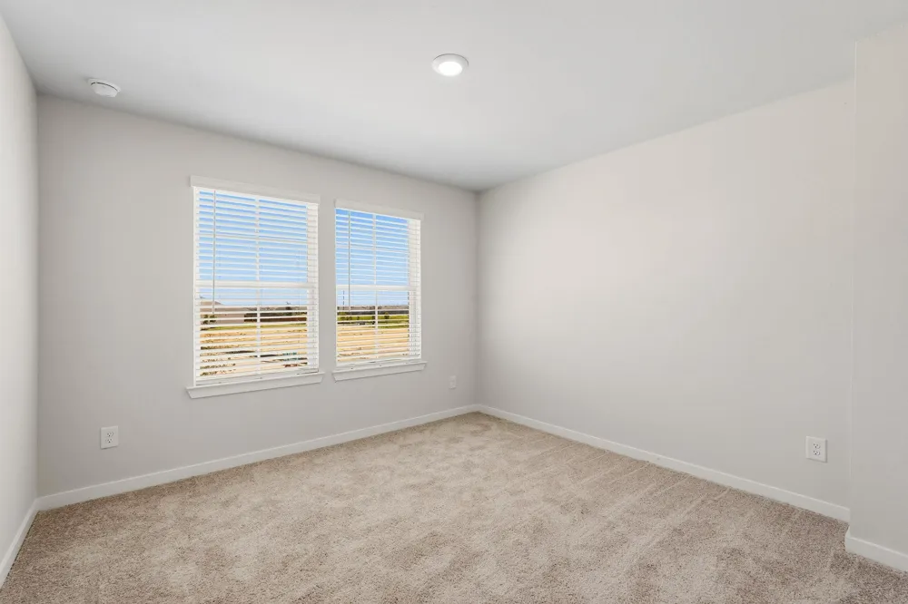 29018 Fig Vine Drive Waller, TX 77484