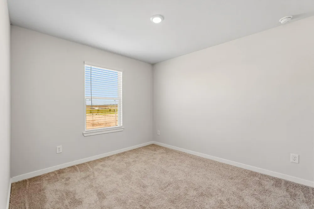 29018 Fig Vine Drive Waller, TX 77484