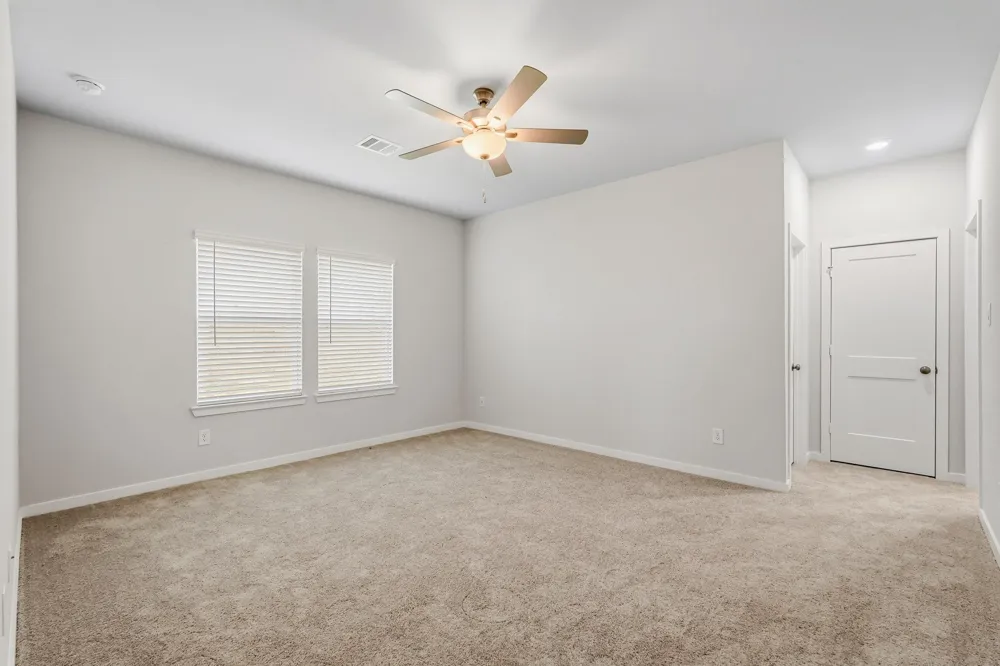 29018 Fig Vine Drive Waller, TX 77484