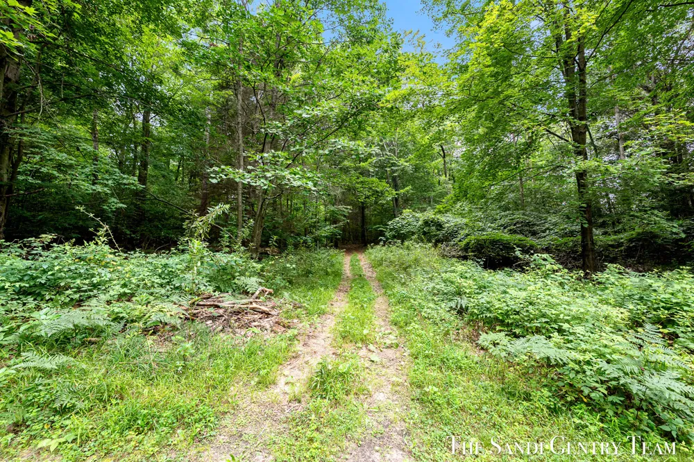 4725 Orshal Road Whitehall, MI 49461