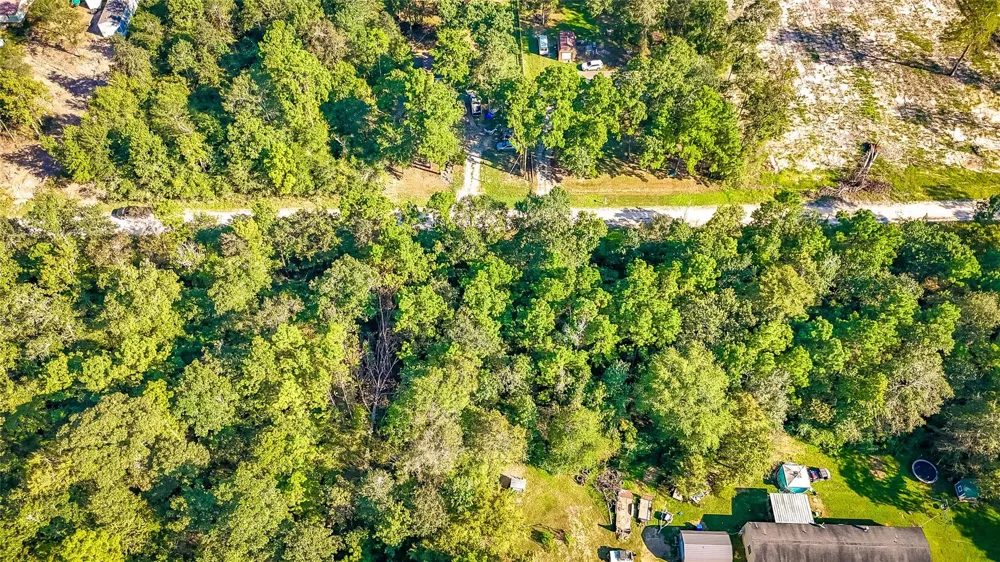 26 Timber Grove Livingston, TX 77351