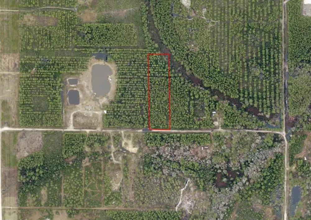 NE 215TH STREET Fort Mc Coy, FL 32134