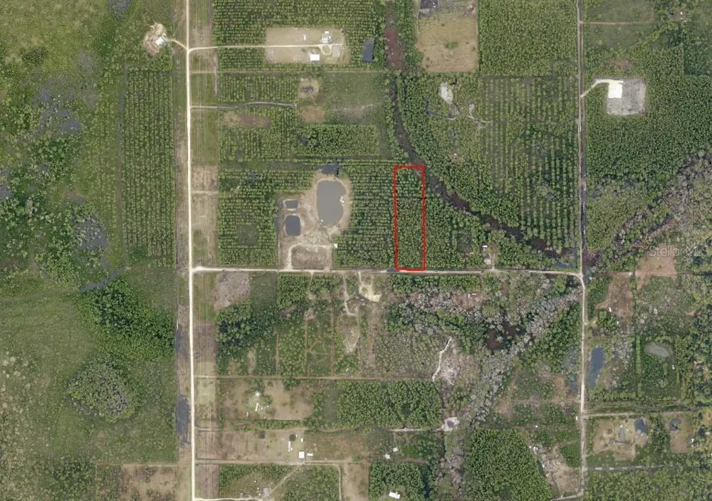 NE 215TH STREET Fort Mc Coy, FL 32134