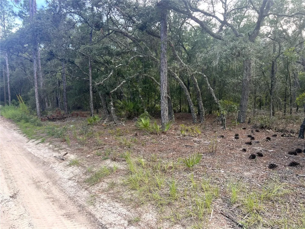 NE 85TH STREET Bronson, FL 32621