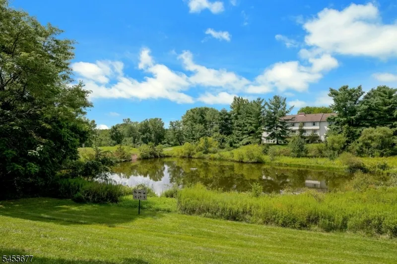 203 Alexandria Way Bernards, NJ 07920