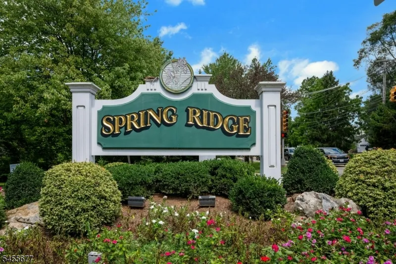203 Alexandria Way Bernards, NJ 07920