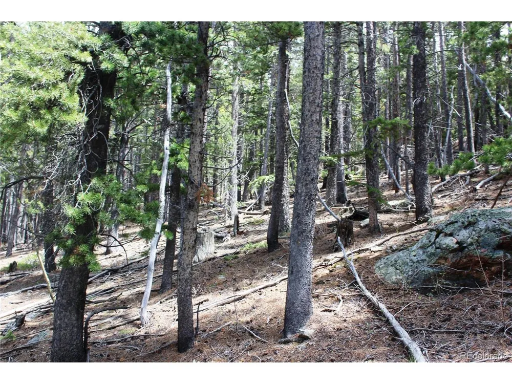 19129 Eliza Idaho Springs, CO 80461