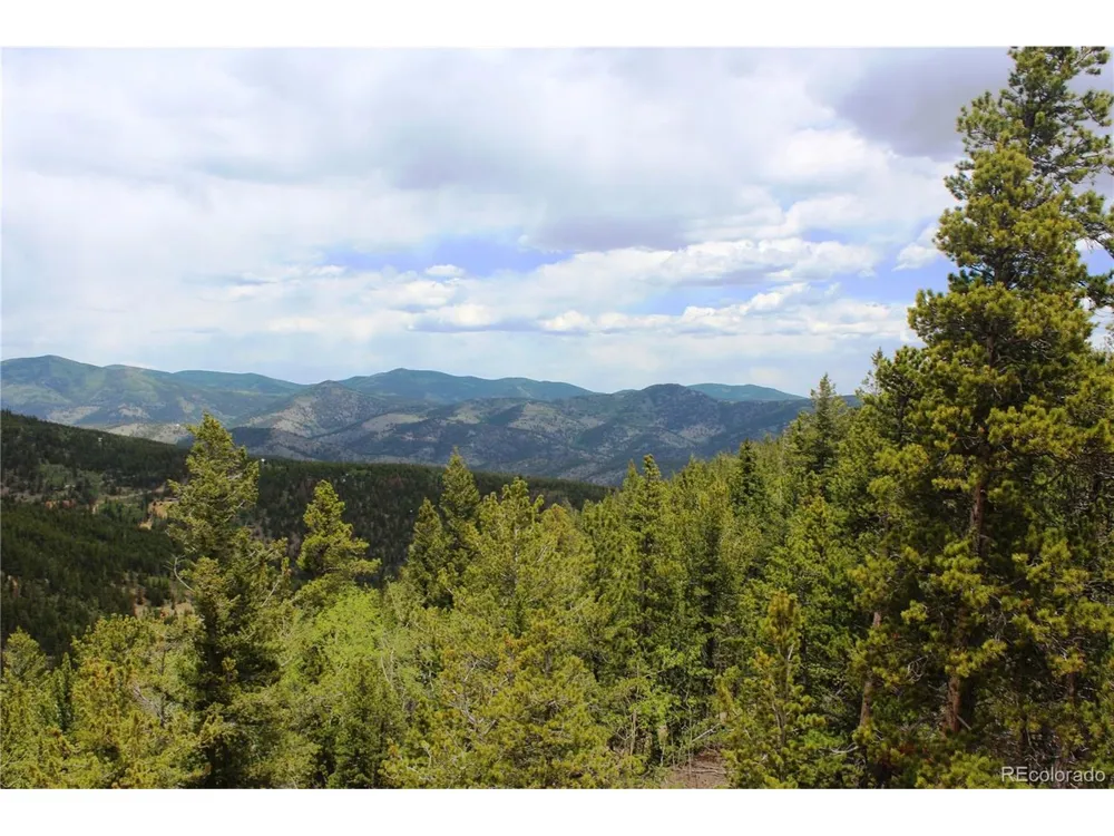 19129 Eliza Idaho Springs, CO 80461