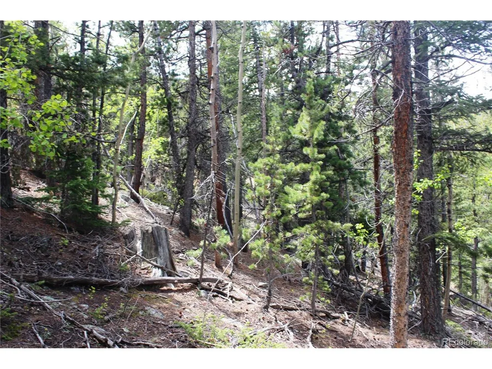 19129 Eliza Idaho Springs, CO 80461