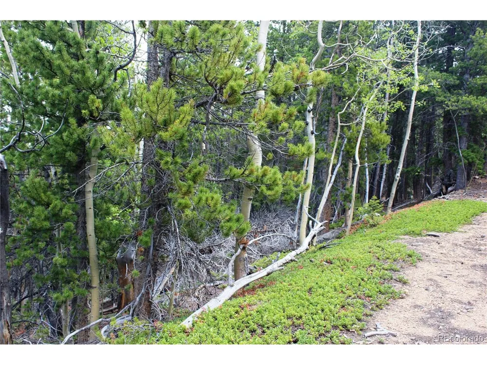 19129 Eliza Idaho Springs, CO 80461
