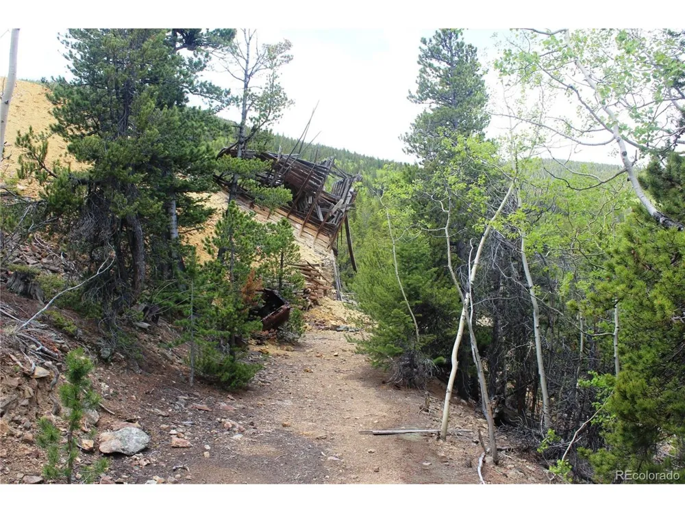 19129 Eliza Idaho Springs, CO 80461