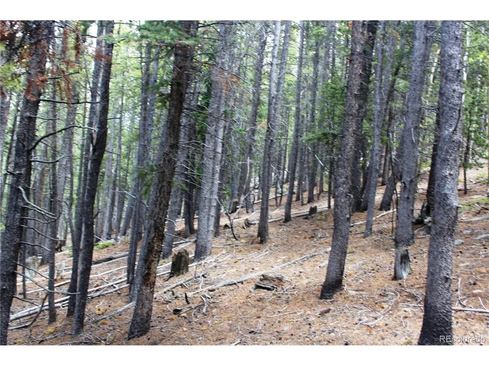 19129 Eliza Idaho Springs, CO 80461