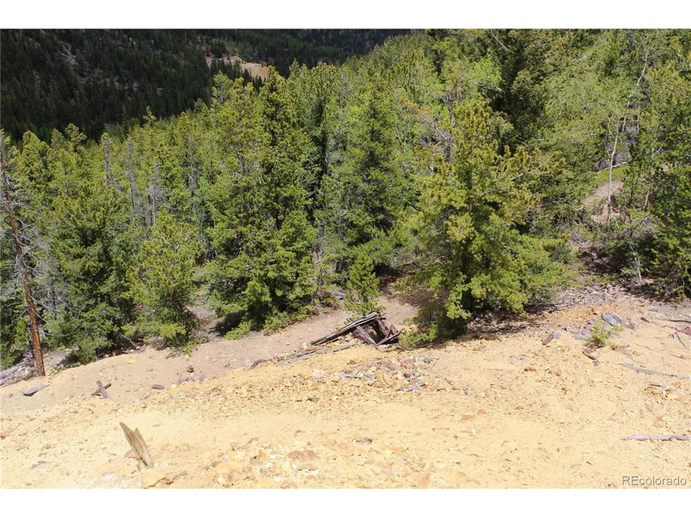 19129 Eliza Idaho Springs, CO 80461