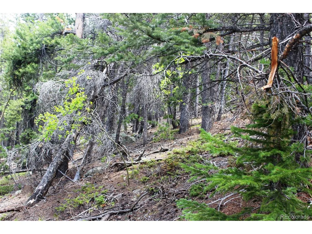 19129 Eliza Idaho Springs, CO 80461