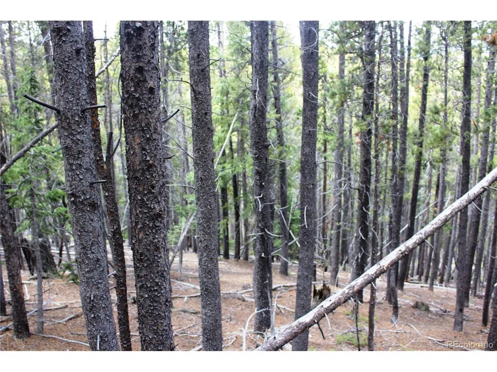 19129 Eliza Idaho Springs, CO 80461