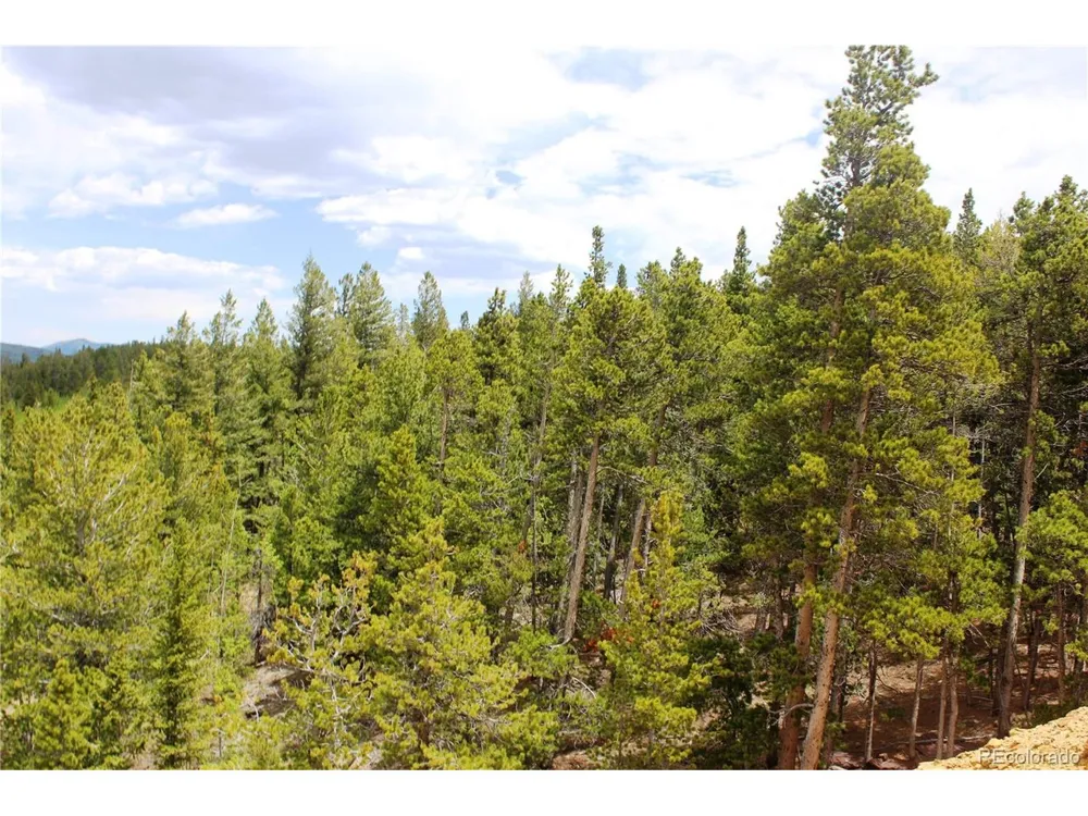 19129 Eliza Idaho Springs, CO 80461