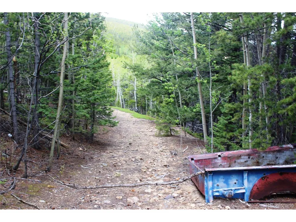 19129 Eliza Idaho Springs, CO 80461