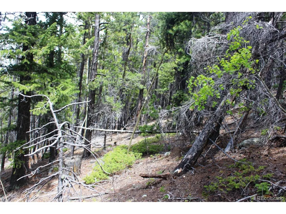 19129 Eliza Idaho Springs, CO 80461