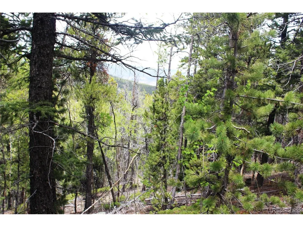 19129 Eliza Idaho Springs, CO 80461