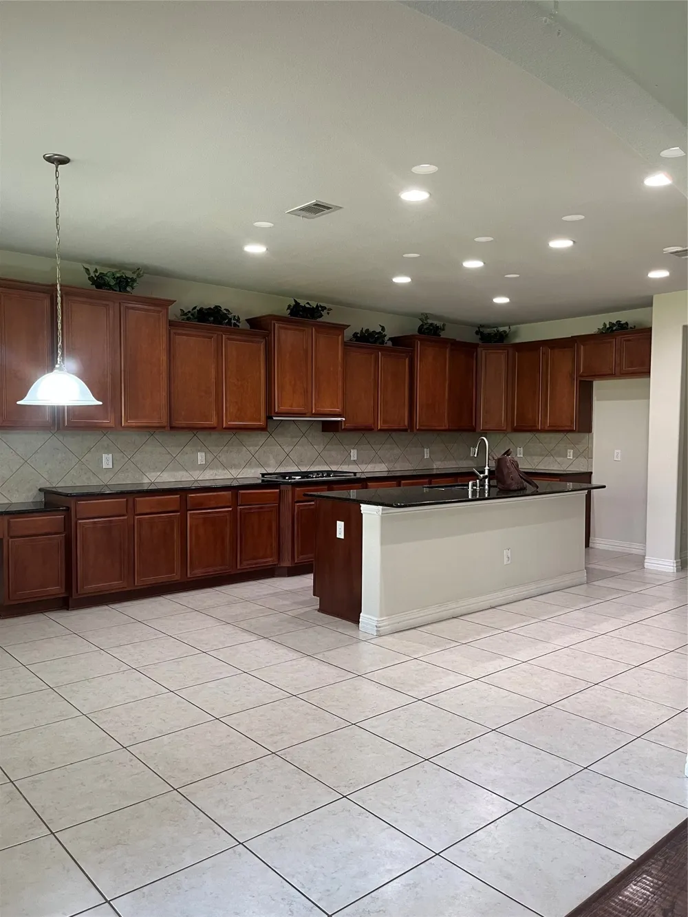 6165 Larkspur Lane Frisco, TX 75036