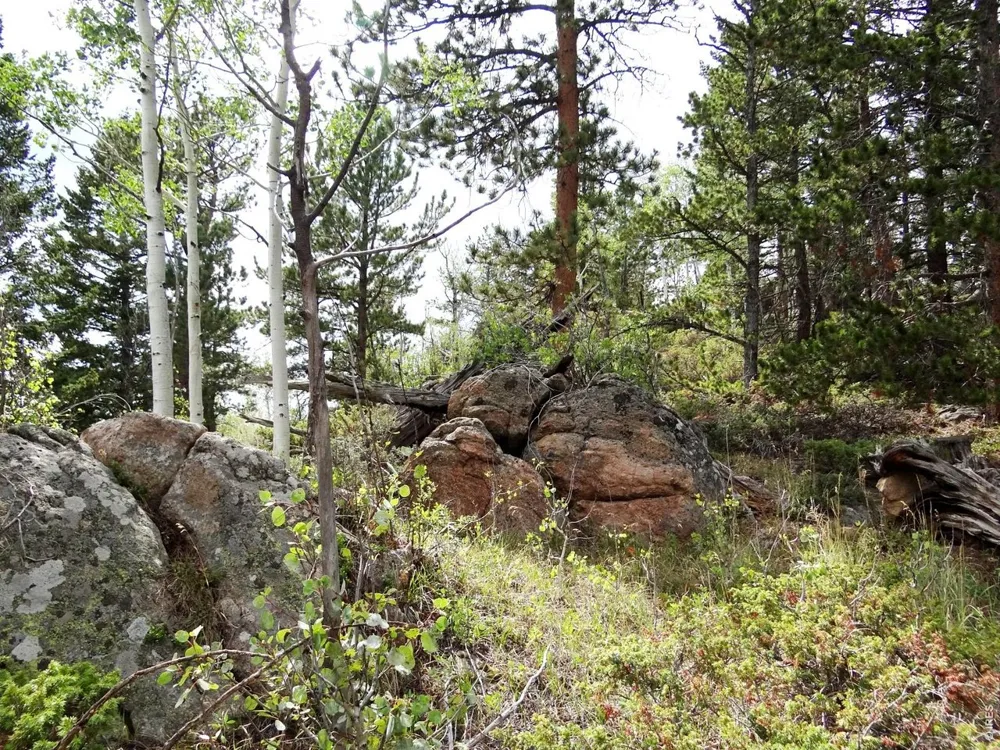 115 Wenro Court Red Feather Lakes, CO 80545