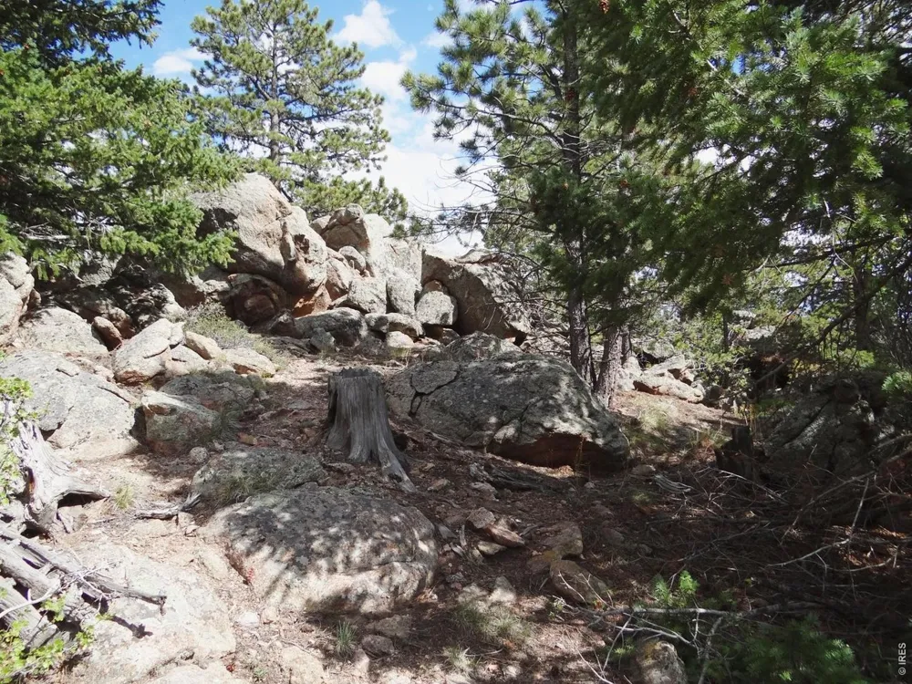 115 Wenro Court Red Feather Lakes, CO 80545