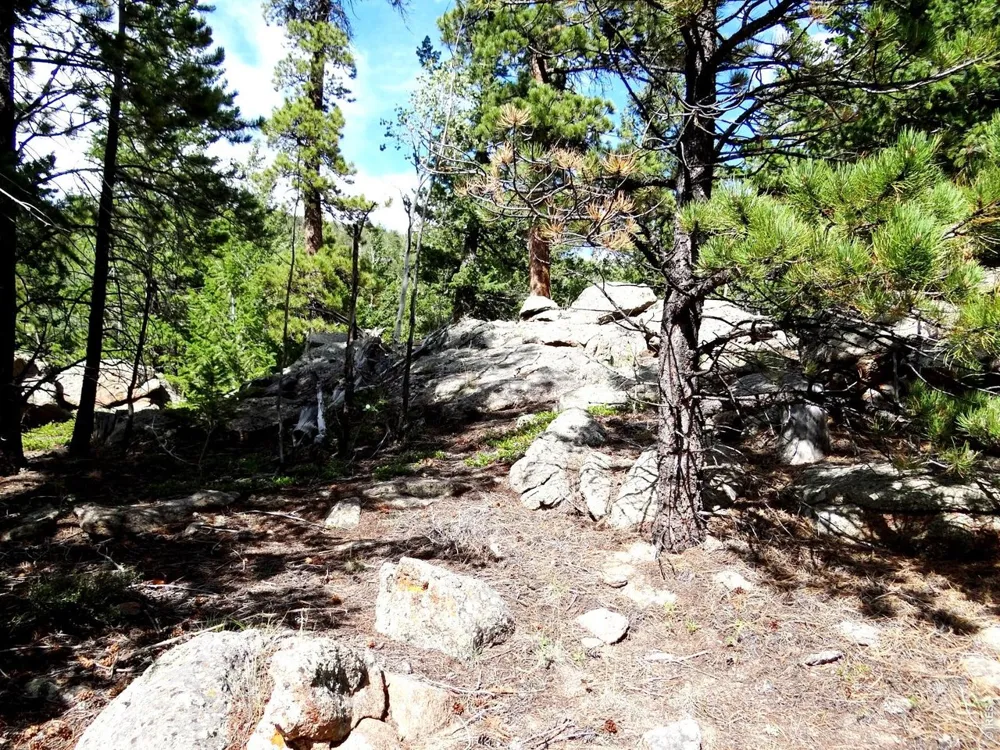 115 Wenro Court Red Feather Lakes, CO 80545