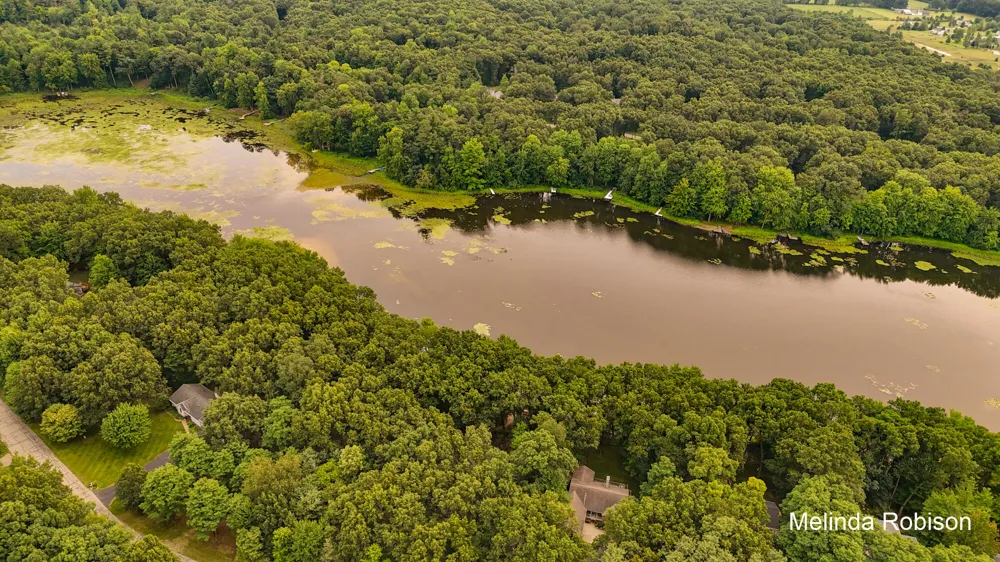 11020 Crawford Lake Trail Cedar Springs, MI 49319